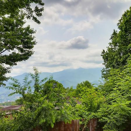 Gatlinburg Home Mountain Views And Indoor Hot Tub! Exterior photo